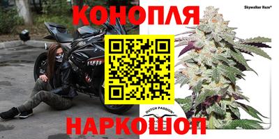 эйфоретик Новодвинск