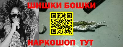 шишки Новозыбков