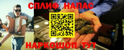 шишки Новозыбков