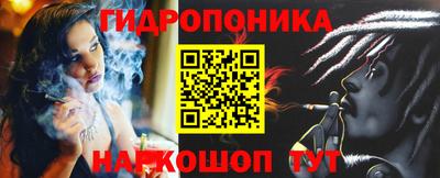 шишки Новозыбков