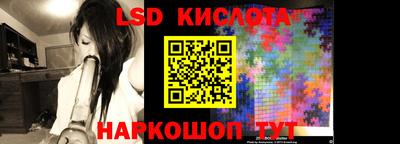 шишки Новозыбков
