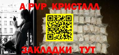 шишки Новозыбков
