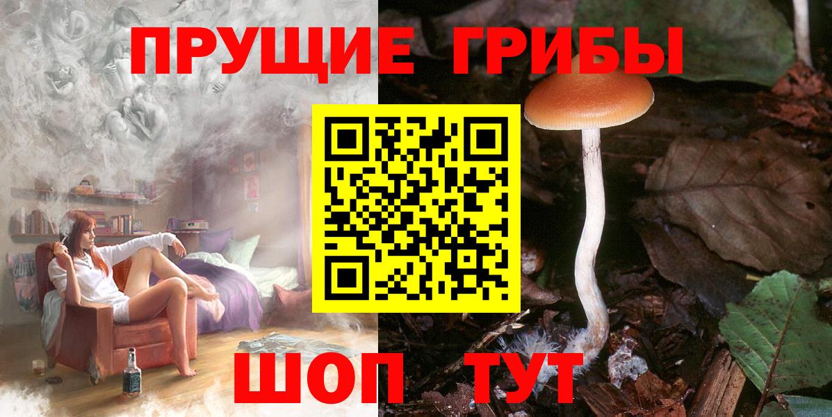 Галлюциногенные грибы мицелий Сердобск